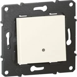 LEGRAND Poussoir Lumineux Altège 6A - Connexion à Borne Automatique - Neige - Bticino