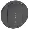 LEGRAND Enjoliveur Céliane Pour Interrupteur Temporisé Ou Interrupteur Et Ventilation Finition Graphite (067936) -LEGRAND Soldes 15248905 1