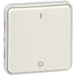 LEGRAND Interrupteur Bipolaire Plexo Composable IP55 10AX 250V Blanc (069627)