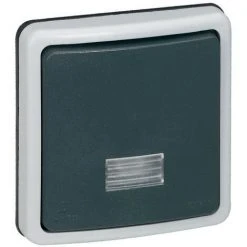 LEGRAND Interrupteur Ou Va-et-vient Bipolaire à Voyant 10 A Plexo IP66 Composable Gris (090484)