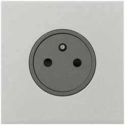 LEGRAND Art D'Arnould Univers Epure Prise De Courant 2P+T 16A 250V Acier Satin (67531)