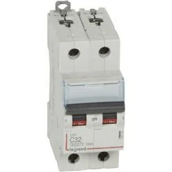 Disjoncteur DX³6000 10kA Arrivée Haute Et Départ Bas à Vis 2P 230V~ à 400V~ - 32A - Courbe C - 2 Modules - 407787 - LEGRAND