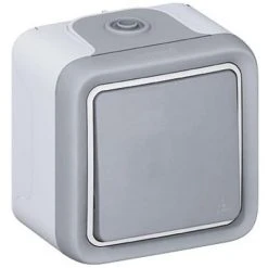LEGRAND Interrupteur Va-et-vient à Voyant 10A Plexo 66 Monobloc Gris IP66/IK08