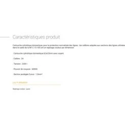 LEGRAND Cartouche Fusible - 2A - Jaune -LEGRAND Soldes 24793244 3