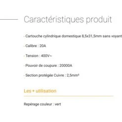 LEGRAND Cartouche, Fusible - 20A - Vert -LEGRAND Soldes 24793245 3
