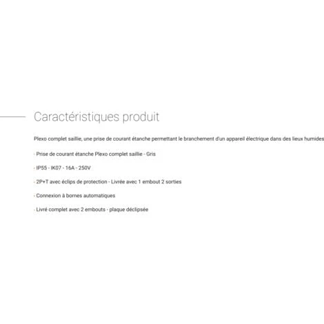 LEGRAND Prise 2P+T Plexo complet saillie gris - 16 A LEGRAND Prise 2P+T Plexo Complet Saillie Gris - 16 A -LEGRAND Soldes 24796979 4