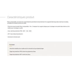 LEGRAND Prise 2P+T Plexo Composable - 16 A - 250 V -LEGRAND Soldes 24796980 4