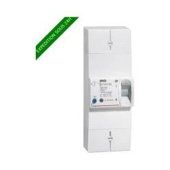 LEGRAND Disjoncteur De Branchement Enedis Bipolaire Différentiel 500mA Sélectif - 45A 401003