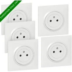 Lot De 5 Prises Avec Terre Complet Dooxie, LEGRAND, Blanc ( Vendu Sans Griffes )