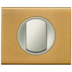 Legrand Celiane Plaque 1 Plaque Bronze Dore -LEGRAND Soldes 3210769 2