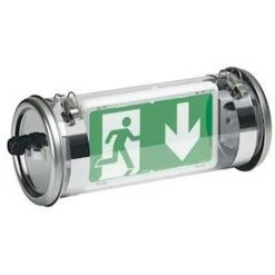 Legrand-062629 LEGRAND 062629 - BAES D'évacuation Saillie LEDs 45lm 1h Plastique/inox IP67 IK07 SATI Adressable