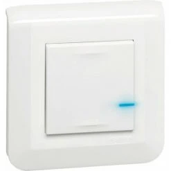 LEGRAND INTER VAR CONNECTE 300W MOS - Besoin D'Habitat