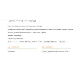 LEGRAND COUPE CIRCUIT 32 A UNI NEUTRE 05824 -LEGRAND Soldes 36874821 3