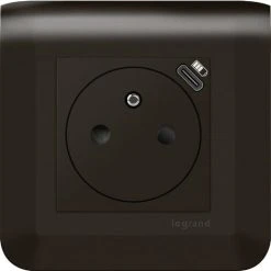 Prise 2P+T 16 A Avec Chargeur USB Legrand - Mosaïc