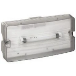 Legrand 62709 - LUMINAIRE ÉCL SÉCU D'ÉVACUATION SOURCE CENTRALISÉE - 220 V=/230