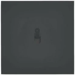 LEGRAND Art D'Arnould Univers Epure Va-et-vient Ou Interrupteur Lumineux Noir Mat (67807)