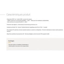 LEGRAND DISJONCTEUR 10A PHASE NEUTRE LEG406773 -LEGRAND Soldes 52768057 4