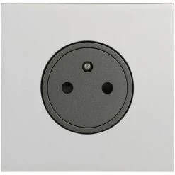 LEGRAND Art D'Arnould Univers Epure Prise De Courant 2P+T 16A 250V Acier Miroir (67631)