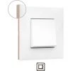 Cadre 1 élément VALENA NEXT Blanc / Or Rs LEGRAND 741021 -LEGRAND Soldes 54087919 1