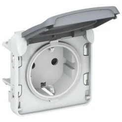 Prise 2P TT I/O Plexus Grise - LEGRAND