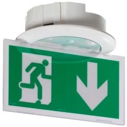 LEGRAND BAESBAEH Dévacuation Eco 2 à Leds 45 Lm 1 Heure Plastique IP43 IK07 Sati Adressable - Blanc