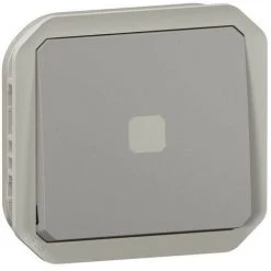 LEGRAND Interrupteur Temporisé Lumineux Plexo Composable Gris (069504L)