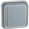 Interrupteur Mural, Bouton Poussoir étanche En Applique De La Gamme Plexo, Interrupteur Extérieur, étanche (IP55), Gris - Legrand, 191510 Plexo.