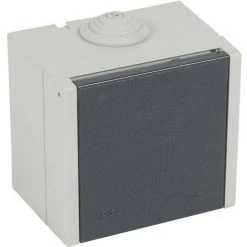 LEGRAND Socle Saillie 2P+T 20A Plexo (055702)