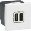 Prise Double De Charge USB Type A + USB Type C MOSAIC - Legrand 1 Prise Double De Charge USB Type A + USB Type C MOSAIC - Legrand -LEGRAND Soldes 7726750 1