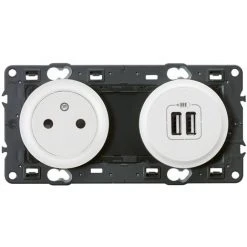 LEGRAND Prise De Courant Avec Terre Céliane Surface Et Double Chargeur USB - Blanc