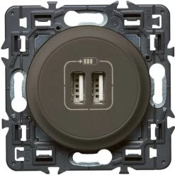 LEGRAND Double Chargeur USB Céliane - Graphite