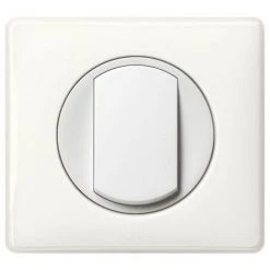 LEGRAND Interrupteur Ou Va-et-vient Avec Plaque Céliane Soft - 10A - Blanc